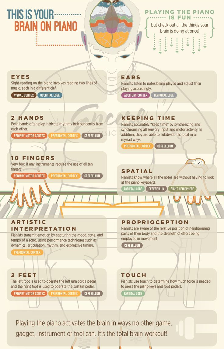 Music Infographic Each Part